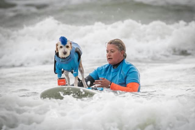 Scooter and Kirstie in the sea