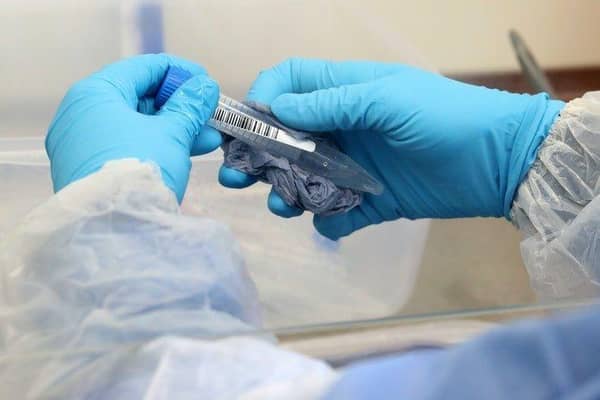 Coronavirus cases in East Sussex have risen