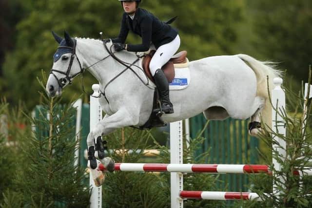 The Billy Stud dominated in Al Shira'aa young horse championships