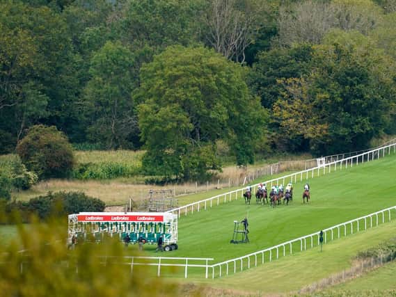 There's a competitive card at Goodwood this afternoon / Picture: Getty
