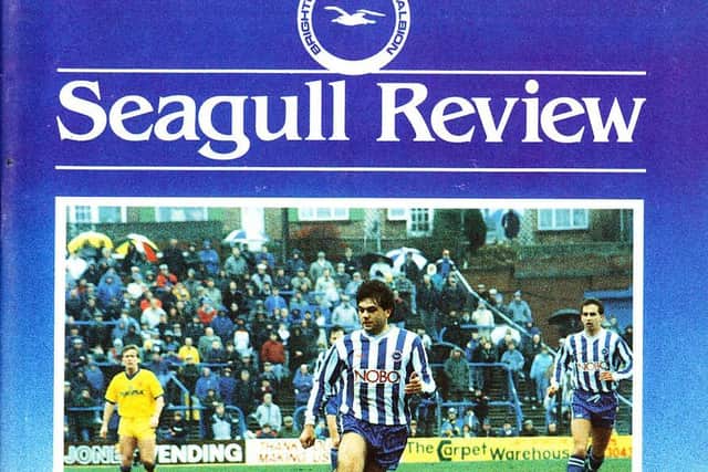Seagull Review from March 1989