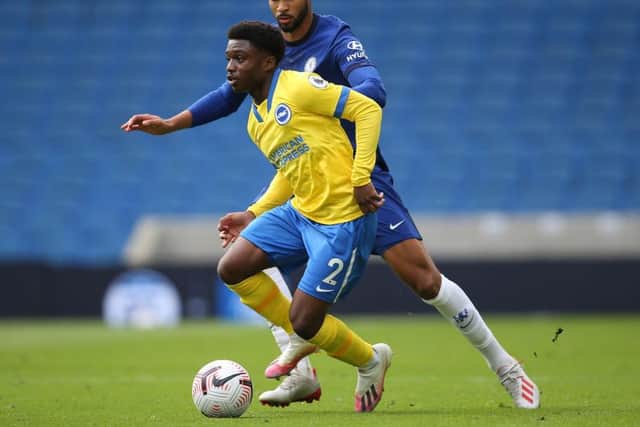 Tariq Lamptey has impressed since his £3m arrival from Chelsea