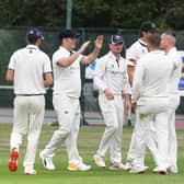 Slinfold celebrate a Crowhurst Park wicket