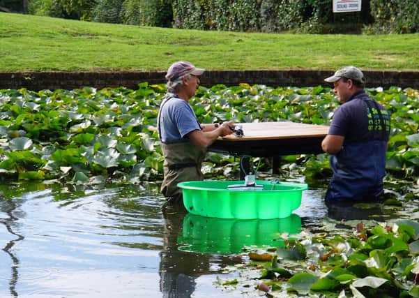 The new duck house being installed in Wisborough Green's village pond SUS-200915-110009001