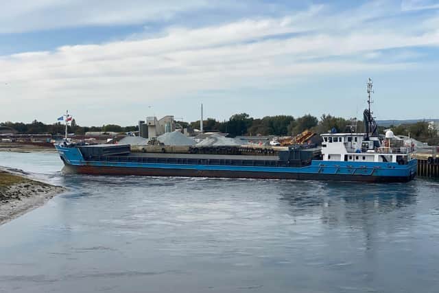 The cargo ship Elise is currently blocking the River Arun. Picture: Robert Boyce