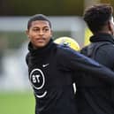 Liverpool's Rhian Brewster is wanted by a number of Premier League clubs including Brighton