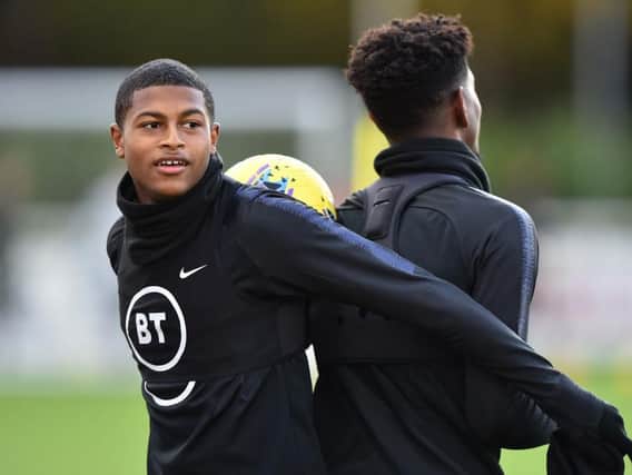 Liverpool's Rhian Brewster is wanted by a number of Premier League clubs including Brighton