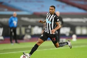 Callum Wilson joined from Bournemouth and scored on his Premier League debut for Newcastle at West Ham last week