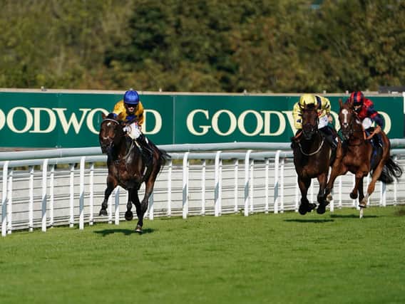 There's a card of seven races at Goodwood on Wednesday / Picture: Getty