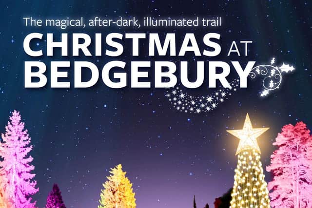 Christmas At Bedgebury is at the award-winning National Pinetum, from November 20 to December 31, 2020.