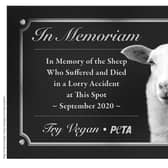 Sheep memorial