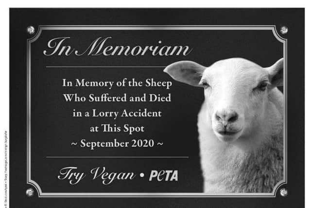 Sheep memorial