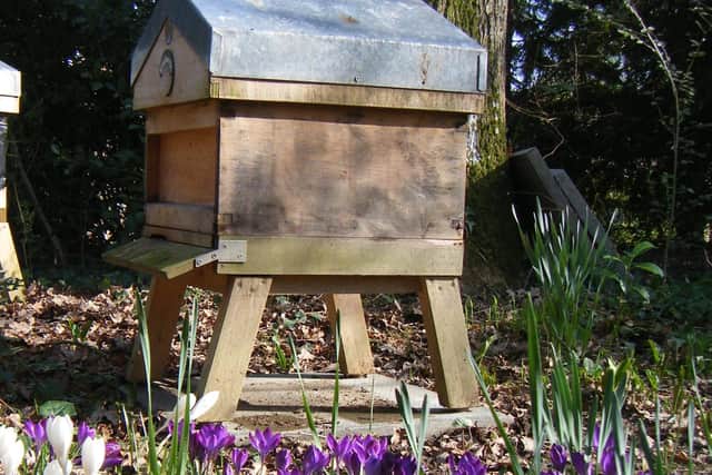 Picture: West Sussex Beekeepers