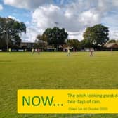 Picture courtesy of Hailsham Town