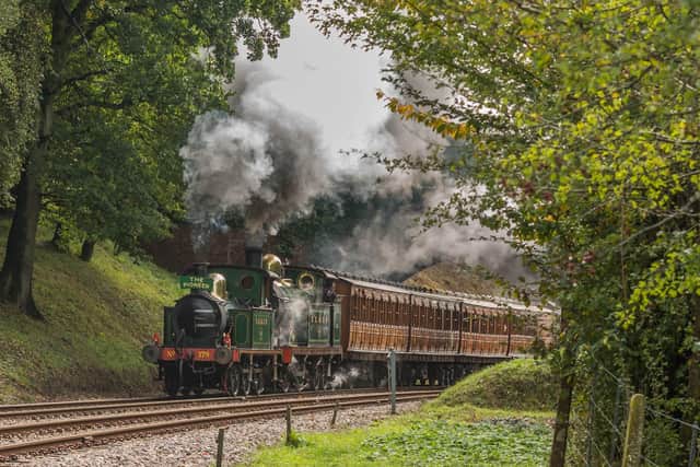 Bluebell Railway. Photo by David Cable