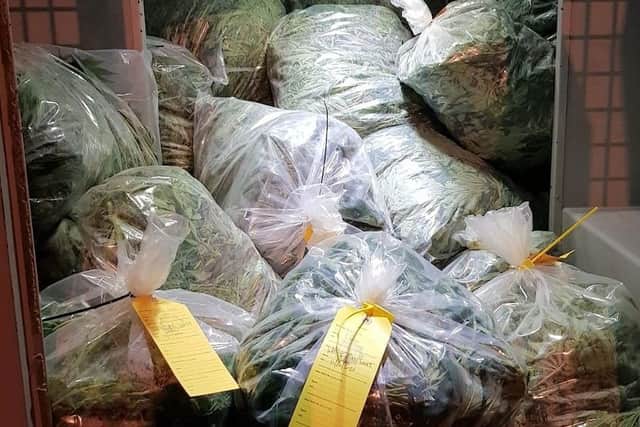 Police seized 'hundreds of plants and drugs' from the property. Photo by Sussex Police