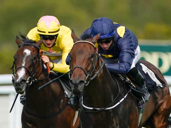 Tom Marquand (dark blue silks) has been in fine form at Goodwood / Picture: Getty