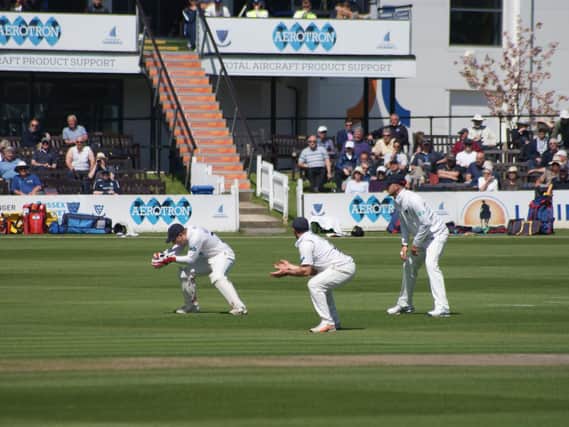 County championship cricket returns to Hove next summer