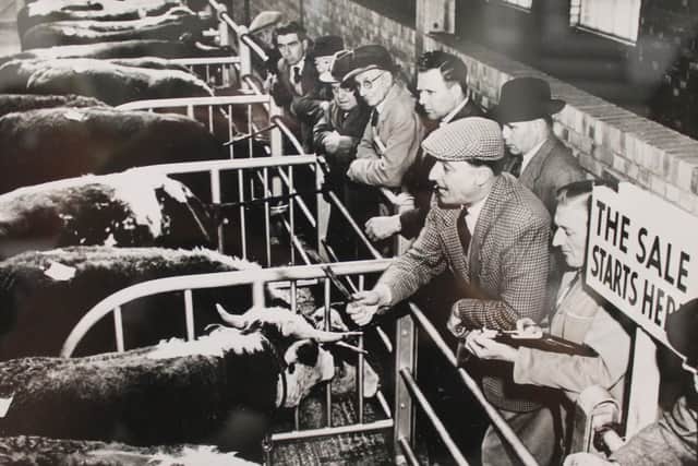 Cattle sale at Chichester livestock market in the 1950s