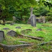 Friends of Heene Cemetery are delighted to have achieved the Green Flag Award. Picture: Steve Robards SR2009233
