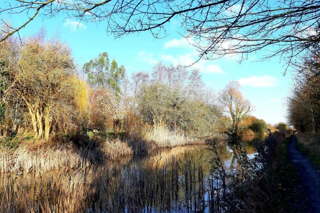 The charity has been raising funds to shore up the eroding banks of the canal and 'ensure the towpath and the waterway are safe for the future'. Photo: Meryn Woodland