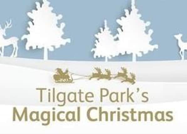Tilgate Park's Magical Christmas
