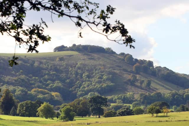 DM16148208a.jpg. Wiston, looking towards Chanctonbury Ring. Photo by Derek Martin SUS-161110-160229008