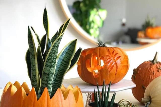 Pumpkin planter Picture: https://www.instagram.com/p/B4J4dvqnkLk/