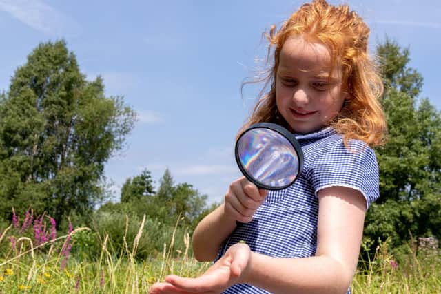 WWT Arundel Wetland Centre is set to open for school visits again