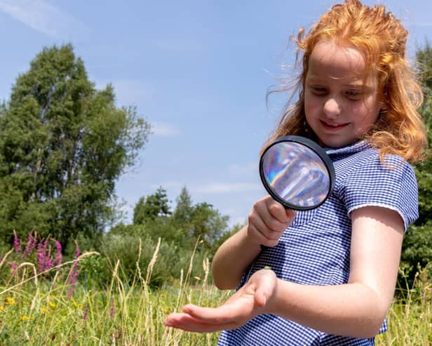 WWT Arundel Wetland Centre is set to open for school visits again