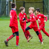 Roffey Robins - pictured last year - are among scores of youth sport teams across Sussex who won't be able to play or train together for the next month - at least