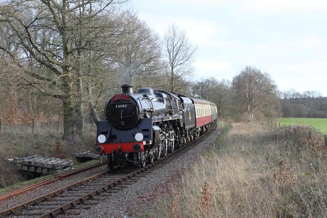 The Bluebell Railway has cancelled all planned services amid the second lockdown. Photo: Andrew Strongitharm