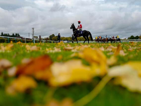 Autumn at Fontwell Park - there's jump action on Friday afternoon / Picture: Alan Crowhurst, Getty