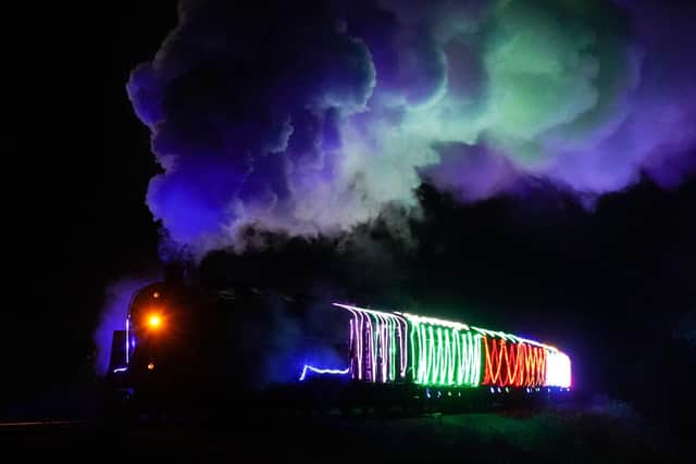 Bluebell Railway SteamLights train.  Picture: Casey Photography / Clare Clark