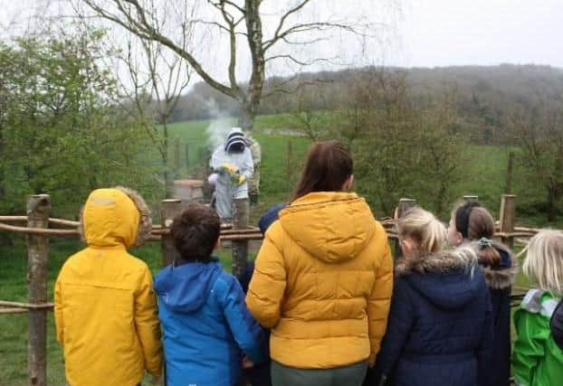 Pupils spent the autumn term learning about bees, with the aim of getting hands-on with the new arrivals in March