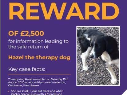 Crimestoppers is offering a reward of up to £2,500 for information, given to the charity anonymously, that leads to Hazel's safe return