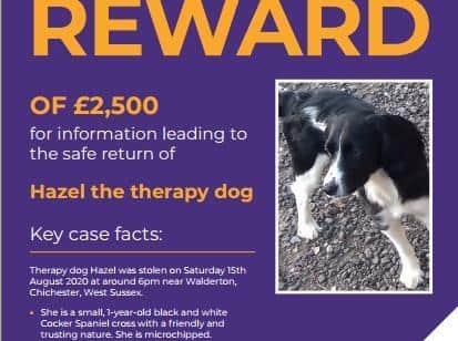 Crimestoppers is offering a reward of up to £2,500 for information, given to the charity anonymously, that leads to Hazel's safe return