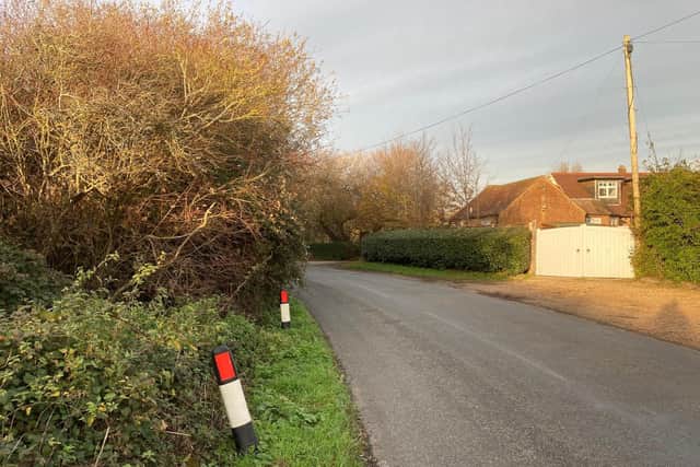 Chris Hardy said he has been living alongside the road for more than a year and the previous owner of his house 'also complained' about the speeds and the overgrown vegetation