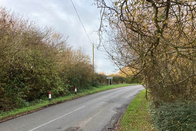 West Sussex County Council said it would 'look at any concerns regarding overhanging vegetation' and establish 'what action needs to be taken'