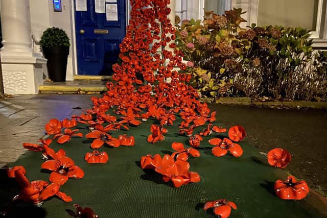 Cascade of poppies at Avon Manor care home in Worthing
