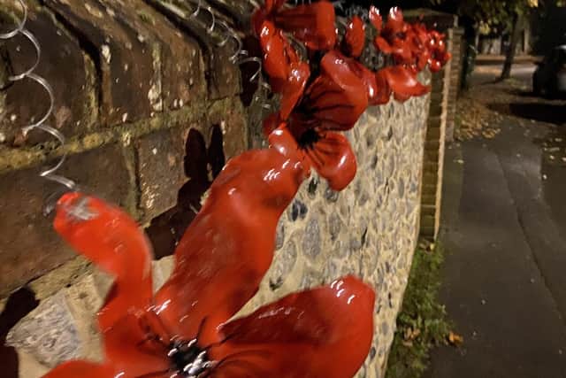There are 28 poppies along the wall, one for each resident at the home