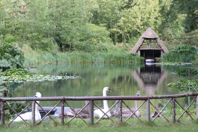 Historic Stew Ponds Arundel