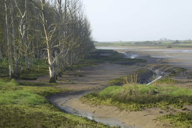 Winding creek, RSPB Medmerry Nature Reserve, West Sussex, May SUS-201124-085517001