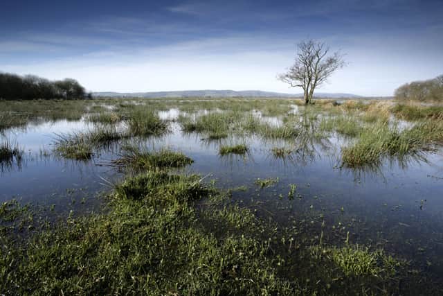 Flooded meadow, Amberley Wildbrooks RSPB reserve, winter by Andy Hay SUS-201124-085050001