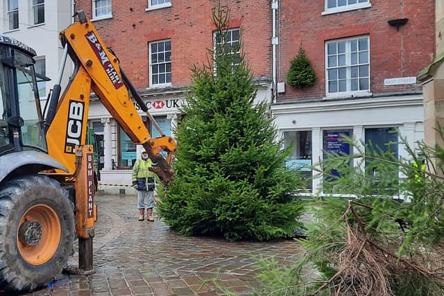 The Rotary Tree of Goodwill is put in place at the Chichester Market Cross