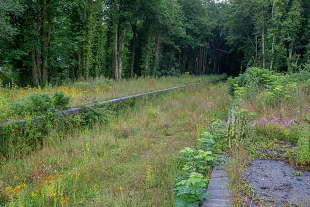 The former platform and railway line at Singleton in July 2020. Picture: Stephen Tattersall