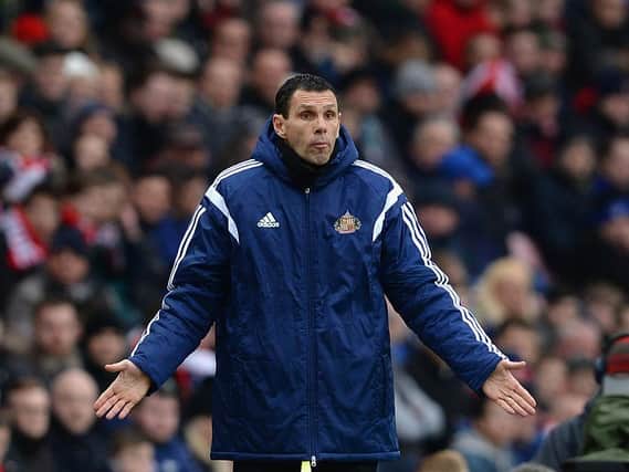 Gus Poyet could be back in charge at Sunderland