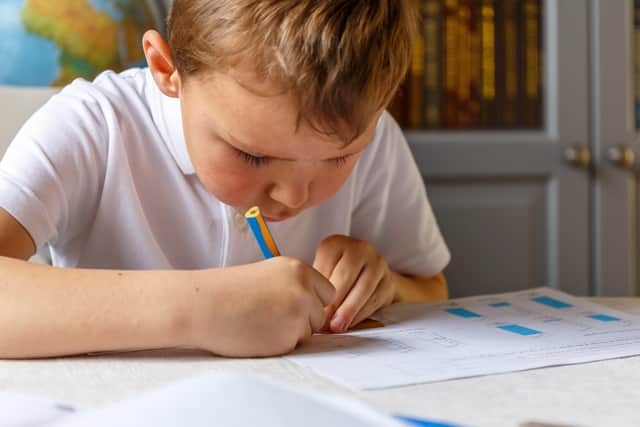 Just one week left to apply for primary school places in Portsmouth

The application window to apply for starting school and junior school places in 2020 will be closing soon - so parents are urged to apply as soon as possible.

Boy doing his homework and studying PPP-200801-175003003