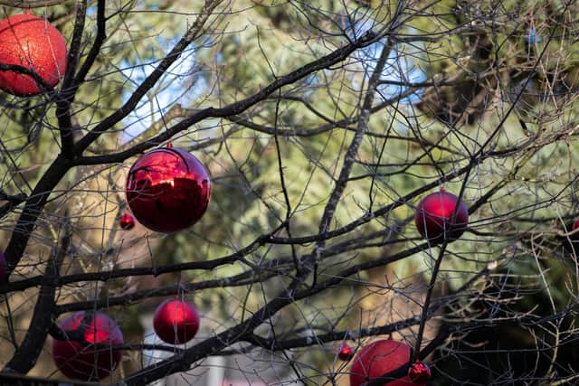 The baubles will 'make things look even more festive this year' in Midhurst