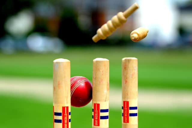 Cricket